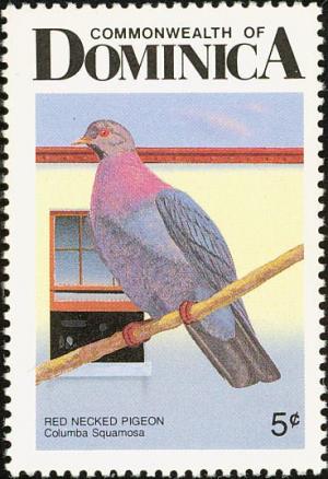 Colnect-1788-013-Scaly-naped-Pigeon-Patagioenas-squamosa.jpg