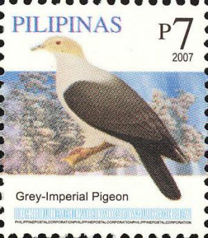 Colnect-2875-986-Grey-Imperial-Pigeon-nbsp-Ducula-pickeringii.jpg