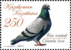 Colnect-3595-492-Rock-Pigeon-Columba-livia.jpg