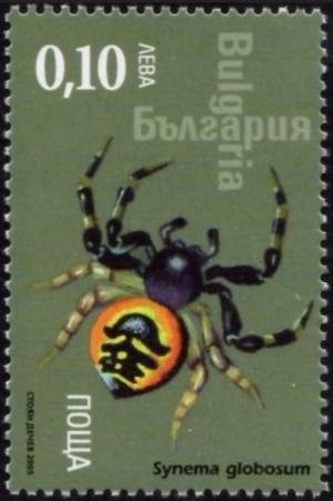 Colnect-5148-770-Crab-Spider-Synema-globosum.jpg