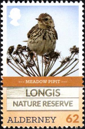 Colnect-5597-150-Meadow-Pipit-Anthus-pratensis-.jpg