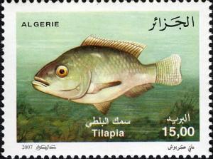 Colnect-5878-098-Nile-Tilapia-Oreochromis-niloticus.jpg