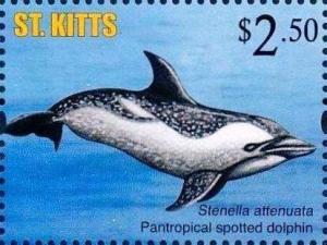 Colnect-6310-210-Pantropical-spotted-dolphin.jpg