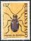 Colnect-1427-985-Common-Spider-Beetle-Ptinus-fur.jpg