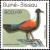 Colnect-1175-691-Pheasant-Pigeon-Otidiphaps-nobilis.jpg