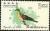 Colnect-5277-009-White-bellied-Green-Pigeon-Sphenurus-sieboldii-sororius.jpg
