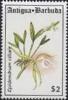 Colnect-1753-187-Epidendrum-ciliare.jpg