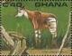 Colnect-2366-356-Okapi-Okapia-johnstoni.jpg