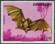 Colnect-2367-807-Common-vampire-bat-Desmodus-rotundus.jpg
