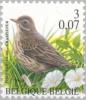 Colnect-187-598-Meadow-Pipit-Anthus-pratensis.jpg