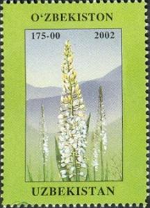 Colnect-2427-365-Rare-plants-of-Uzbekistan.jpg