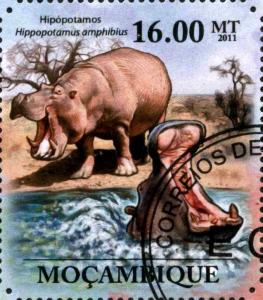 Colnect-3889-705-Hippopotamus-amphibius.jpg