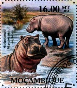 Colnect-3889-707-Hippopotamus-amphibius.jpg