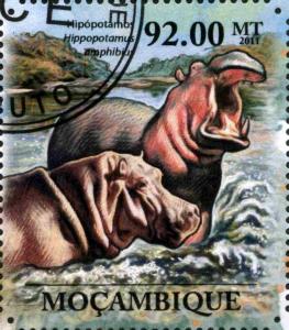 Colnect-3889-710-Hippopotamus-amphibius.jpg