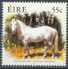 Colnect-1047-958-Connemara-Pony-Equus-ferus-caballus.jpg