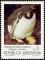 Colnect-4868-419-Southern-Rockhopper-Penguin-Eudyptes-crestatus.jpg