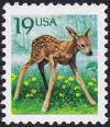 Colnect-5097-277-Roe-Deer-Capreolus-capreolus-Juvenile.jpg