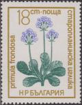 Colnect-1469-157-Primula-frondosa.jpg