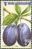Colnect-1861-547-Prunus-Domestica.jpg