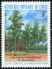 Colnect-2268-469-Eucalyptus-trees-Brazzaville.jpg