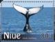 Colnect-4759-137-Humpback-Whale-Megaptera-novaeangliae-Underside-Flukes.jpg