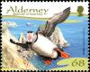 Colnect-5425-712-Atlantic-Puffin-Fratercula-arctica.jpg