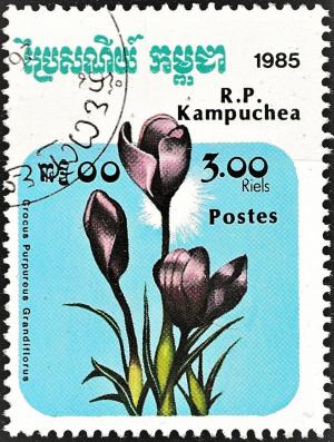 Colnect-4814-753-Crocus-Purpureus-Grandiflorus.jpg