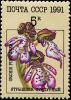 Colnect-4855-285-Orchis-purpurea---Lady-Orchid.jpg