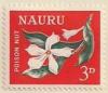 ARC-nauru03.jpg-crop-170x147at446-705.jpg