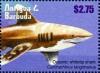 Colnect-5942-704-Oceanic-Whitetip-Shark-Carcharhinus-longimanus.jpg