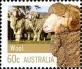 Colnect-1732-669-Sheep-Ovis-ammon---Wool.jpg