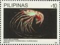 Colnect-2850-067-Deep-Sea-Shrimp-Stylodactylus-multidentatus.jpg