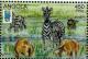 Colnect-2220-174-Zebra-Equus-sp-and-Two-Lions-Panthera-leo.jpg