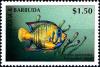 Colnect-4105-275-Queen-angelfish.jpg