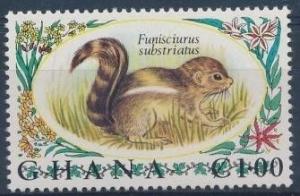 Colnect-1889-170-Kintampo-Rope-Squirrel-Funisciurus-substriatus.jpg