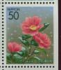 Colnect-6259-645-Camellia-sasanqua-the-flower-of-K%C5%8Dt%C5%8D-Ward.jpg