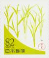 Colnect-6038-413-Young-Grass-Bright-Green-Color.jpg