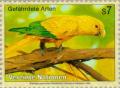 Colnect-139-018-Golden-Parakeet-Aratinga-guarouba.jpg