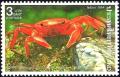Colnect-2647-595-Red-Land-Crab-Phricotelphusa-limula.jpg