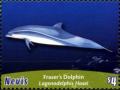 Colnect-3706-346-Fraser--s-dolphin.jpg