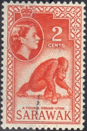 Colnect-1239-857-Orangutan-Pongo-sp.jpg