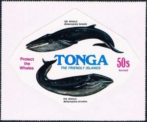 Colnect-2231-109-Sei-Whale-Balaenoptera-borealis-Fin-Whale-Balaenoptera-p.jpg