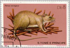 Colnect-2431-259-Brown-Rat-Rattus-norvegicus.jpg