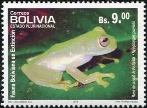 Colnect-3508-749-Pistipata-Cochran-Frog-Nymphargus-pluvialis.jpg
