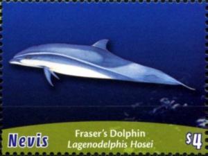 Colnect-3706-346-Fraser--s-dolphin.jpg