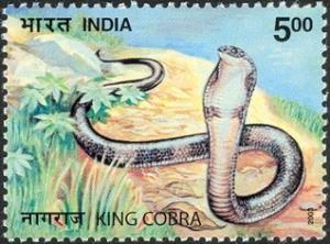 Colnect-540-541-King-Cobra-Ophiophagus-hannah-.jpg