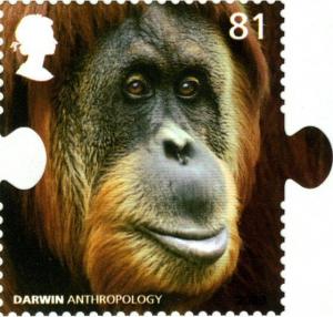 Colnect-587-463-Bornean-Orangutan-Pongo-pygmaeus.jpg