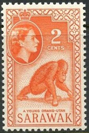 Colnect-6012-140-Orangutan-Pongo-sp.jpg