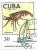 Colnect-1790-589-Crawfish-Jasus-sp.jpg