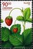 Colnect-1473-401-Wild-Berries-I---Fragaria-vesca-Woodland-strawberry.jpg